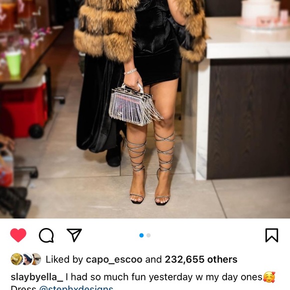 Area x Bertoni Silver Bag - Picture 6 of 7